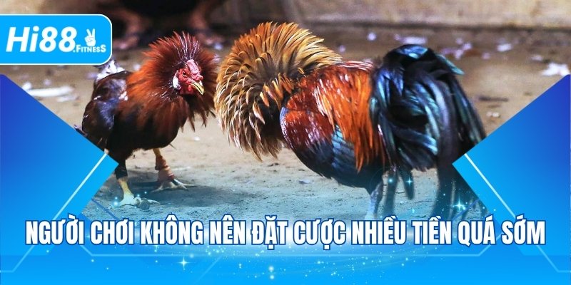 Người chơi không nên đặt cược nhiều tiền quá sớm